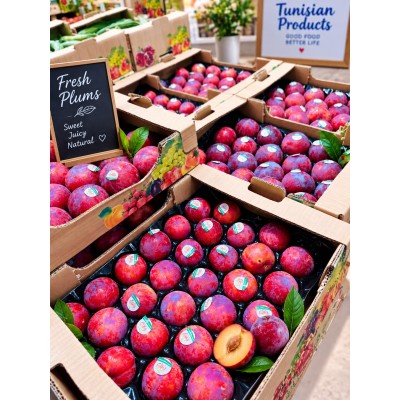 Tunisian Red Plums 1kg