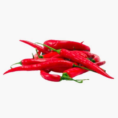 Moona Peppers Bar Abid